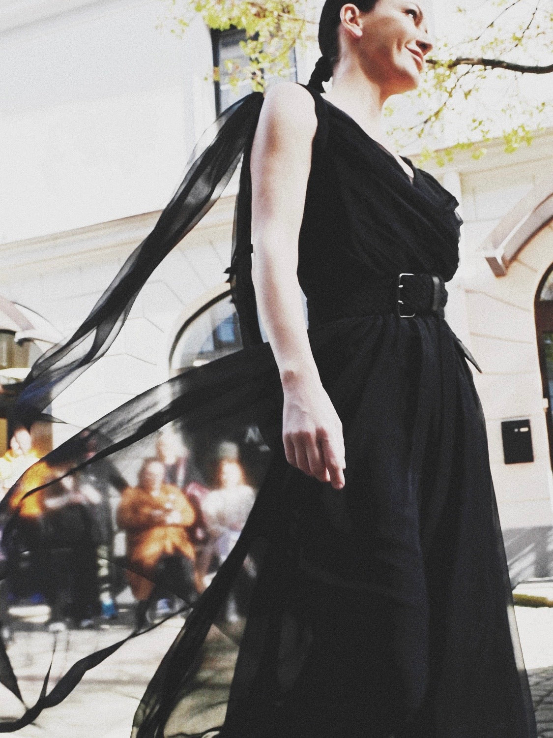 Silk Chiffon Dress IREN